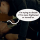 Image for article titled Illustrated Guide To The Insanity You May Have Forgotten On Orphan Black